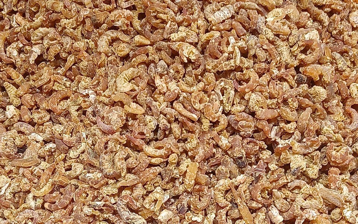 Dried shrimp